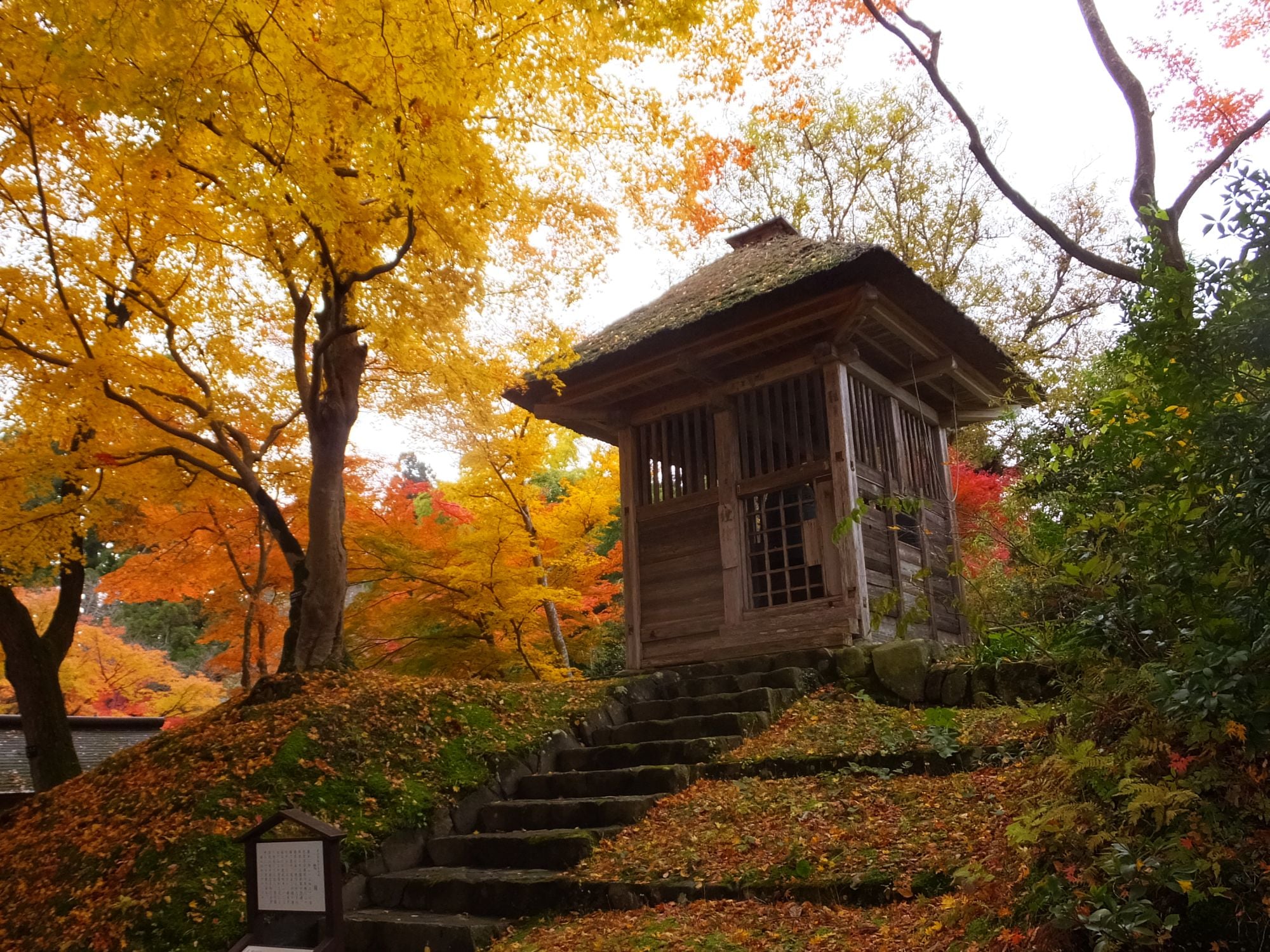 Chuson-ji