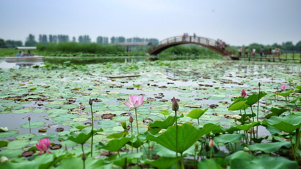 Baiyang Lake