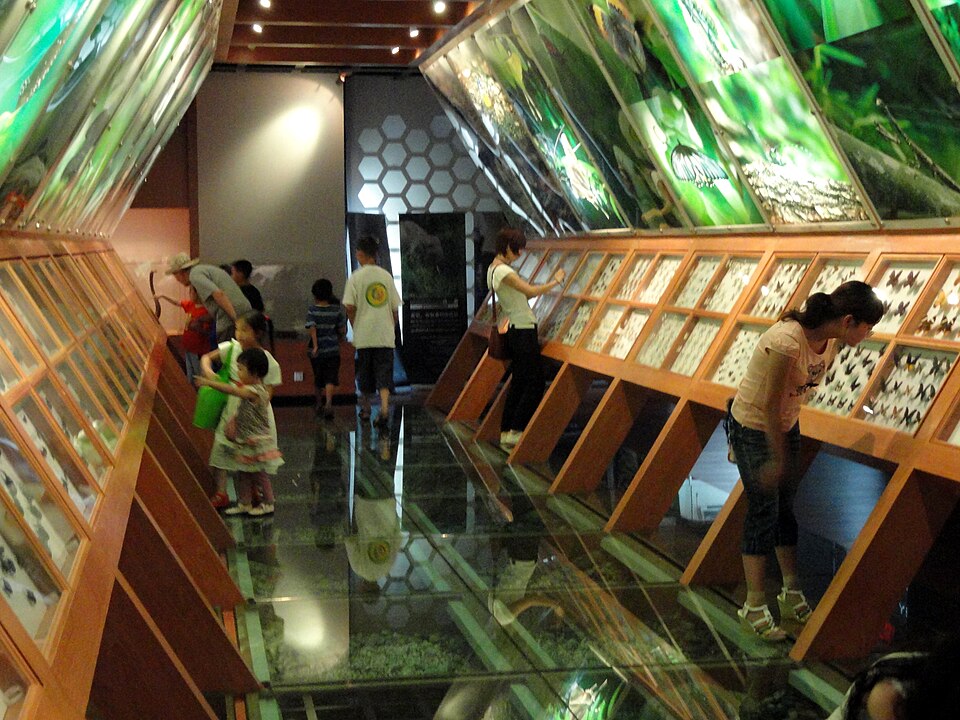 Kun Ming Dong Wu Museum