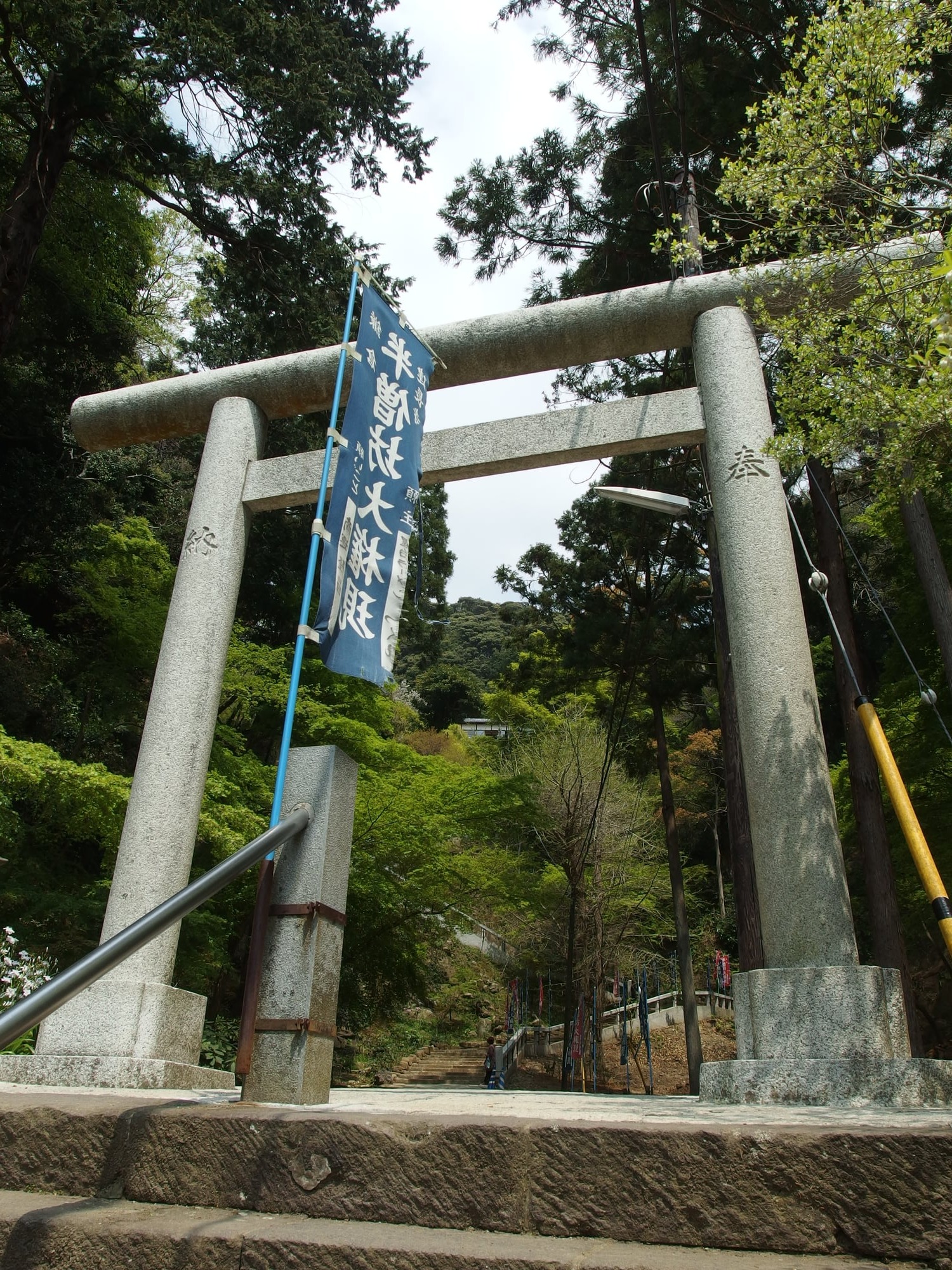 Hansobo
