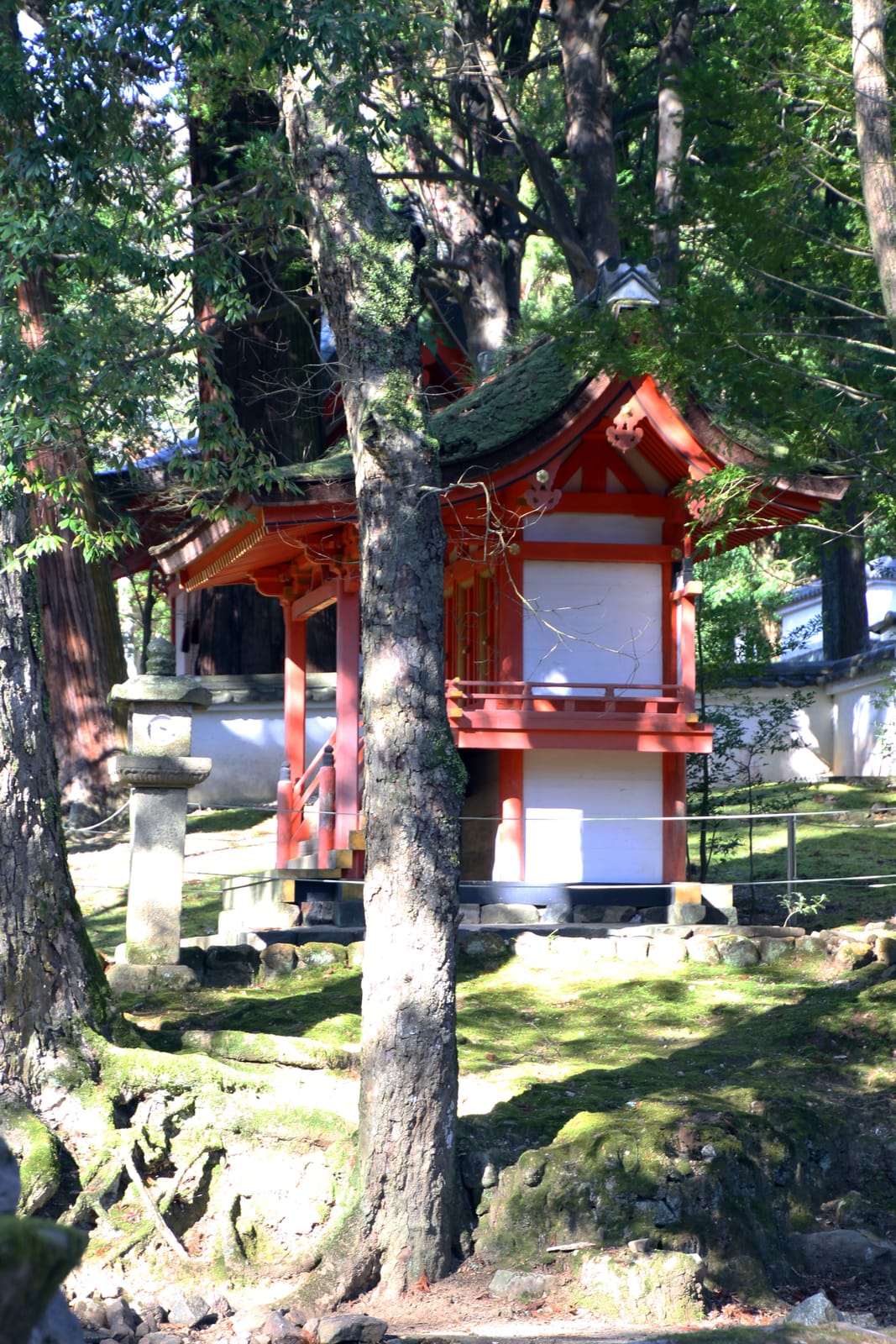 Kasuga-Taisha