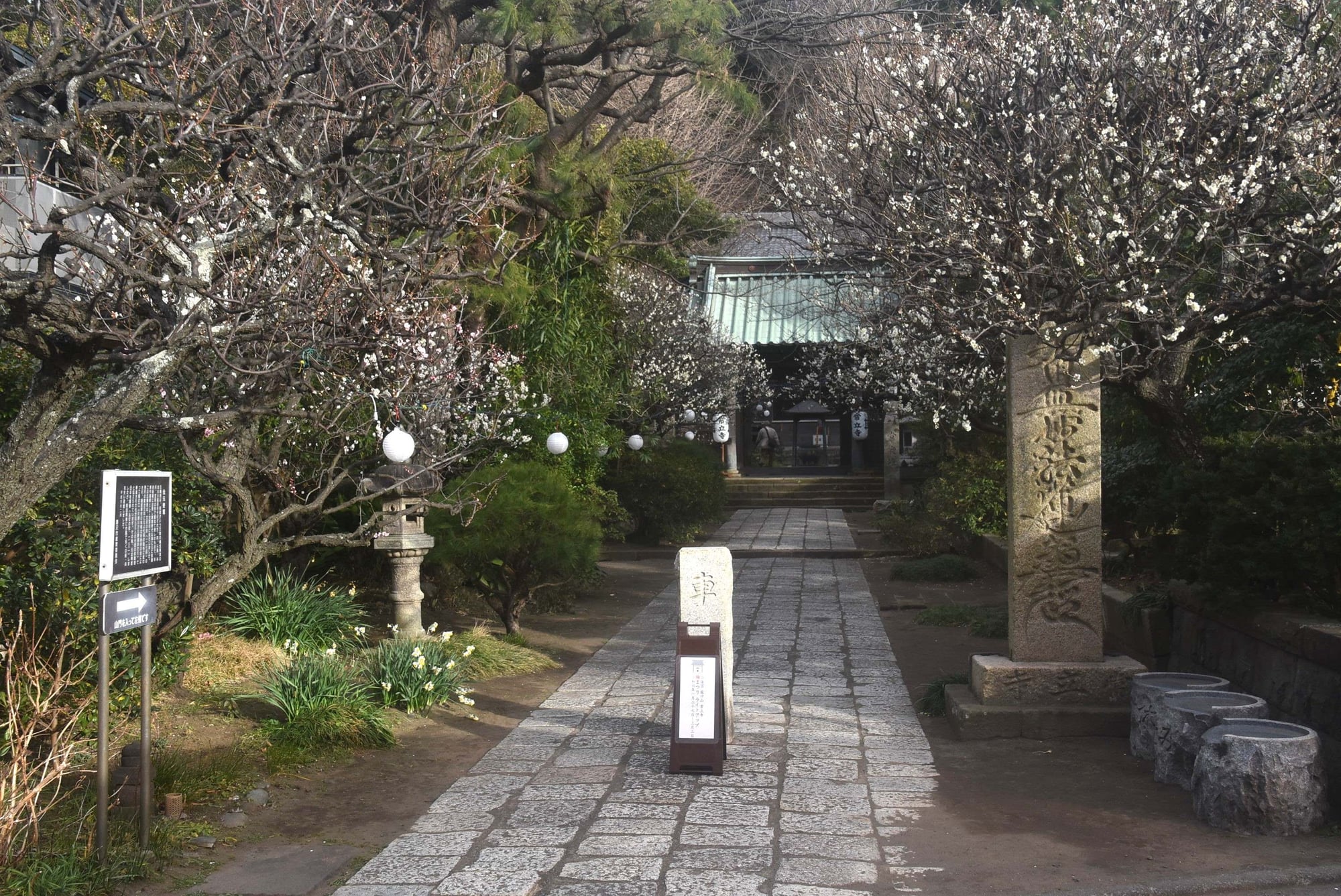 Joryu-ji