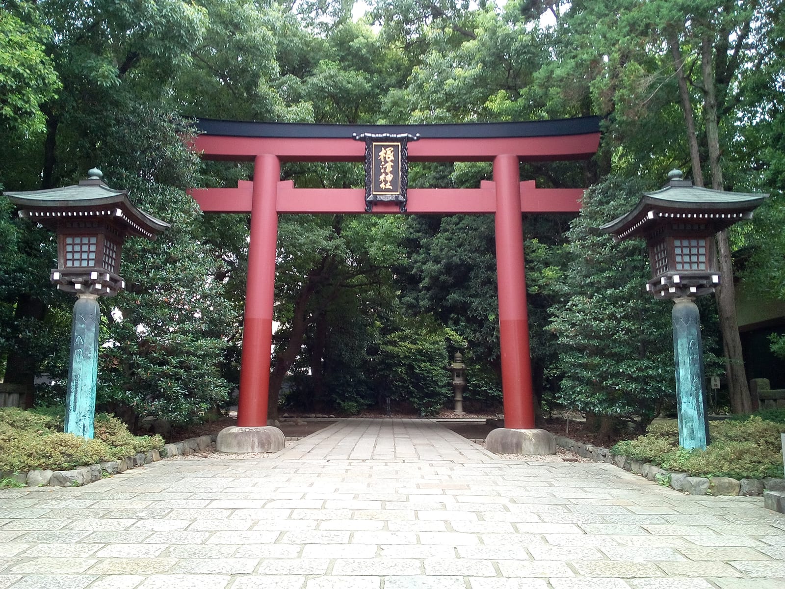 Nezu